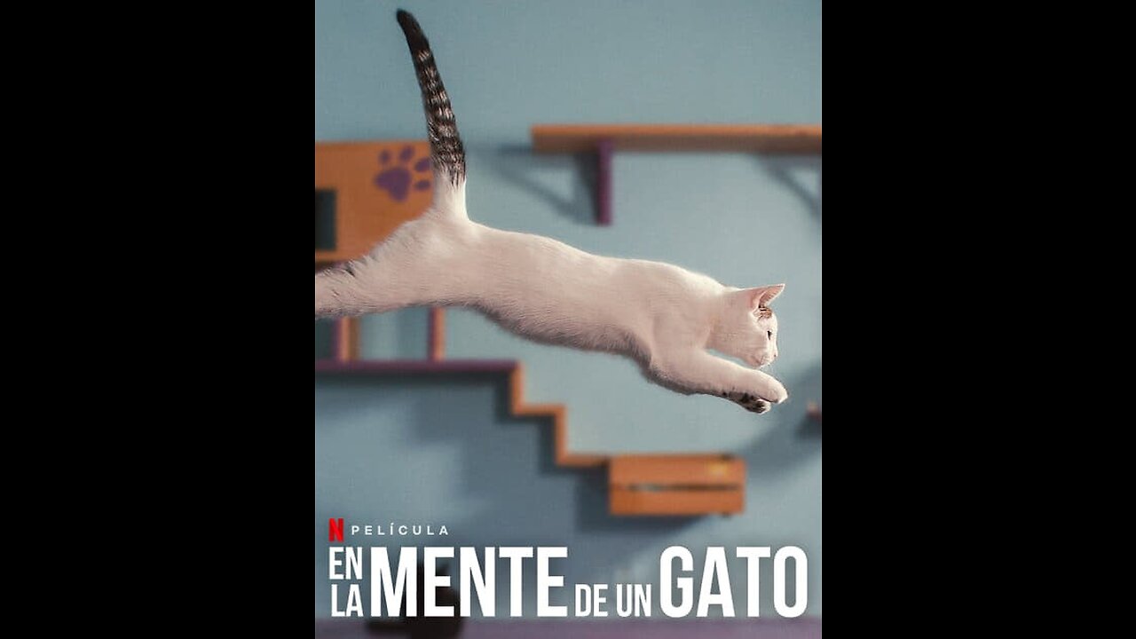 En la mente de un gato