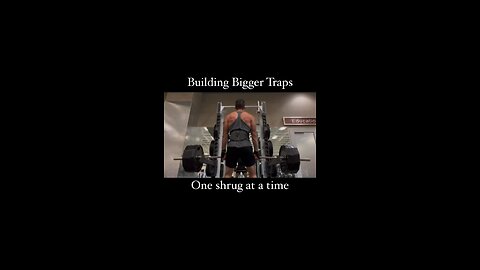 Gym Workout - Traps Bar Raise