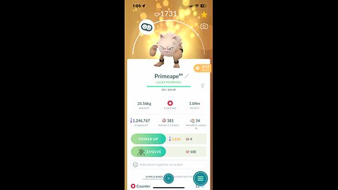 evolution Primeape