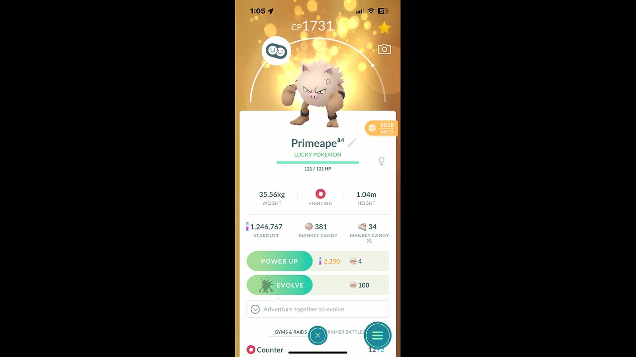 evolution Primeape