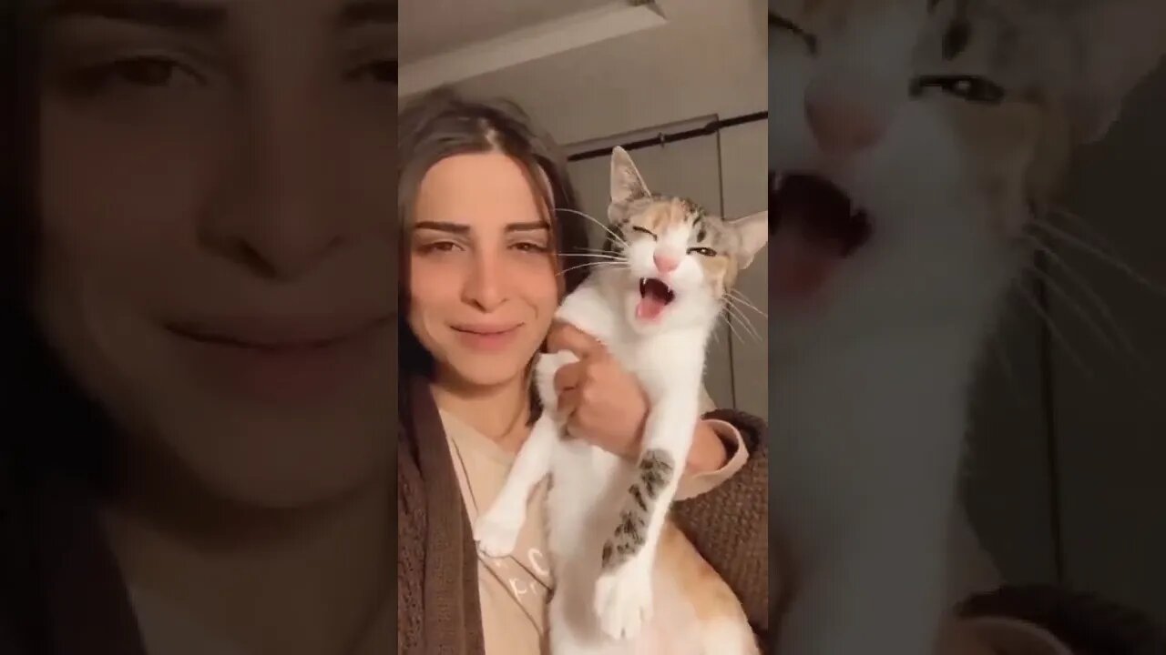 Don't copy me 😾🐾👋👱‍♀️🤣