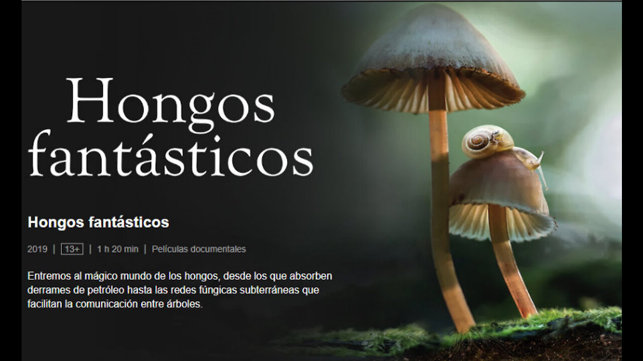 🍄HONGOS FANTÁSTICOS🍄Documental Netflix🍄