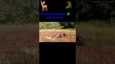 Komodo dragon killed Deer 🦌#shorts #shortvideo #youtubeshorts