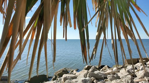 St George Island From the Rocks Fall 2021