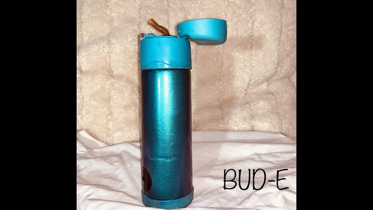 BUD-E