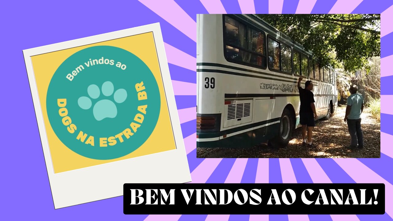 1 - Bem vindos ao canal Dogsnaestradabr!