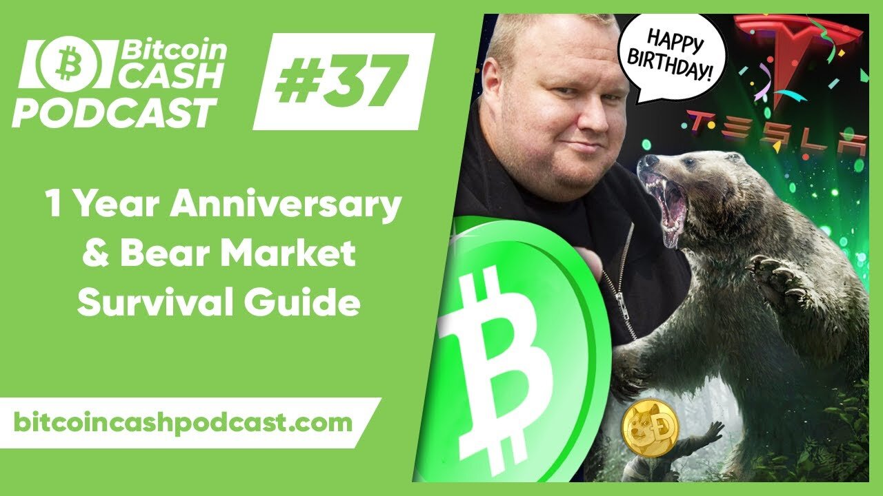 The Bitcoin Cash Podcast #37: 1 Year Anniversary & Bear Market Survival Guide