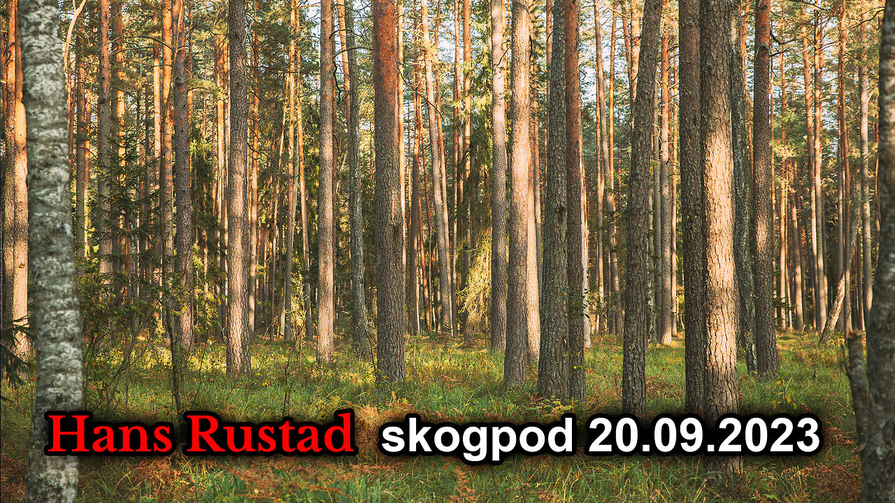 Skogpod 20. september 2023