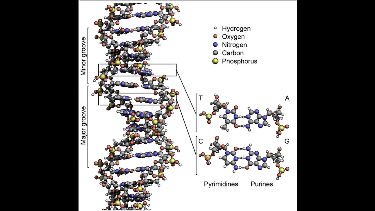 DNA & META-DATA