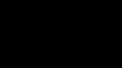 Personal E.S.G. score