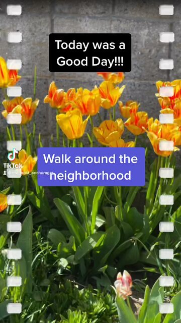 Find Joy in Everyday Mini Vlog