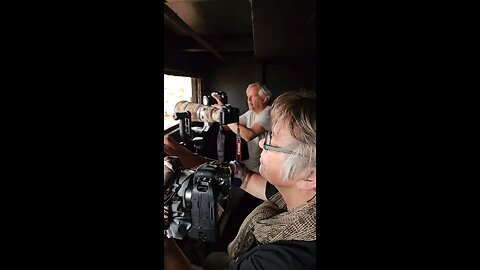 "I m a Wild Photographer @alex-brack-nature I Filmed This While Photoguiding Follow For More Videos