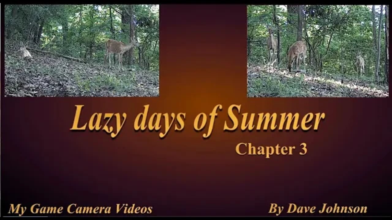 Lazy days of Summer