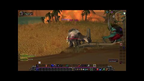 Session 6: World of Warcraft (Level 10 pirate grind) - -