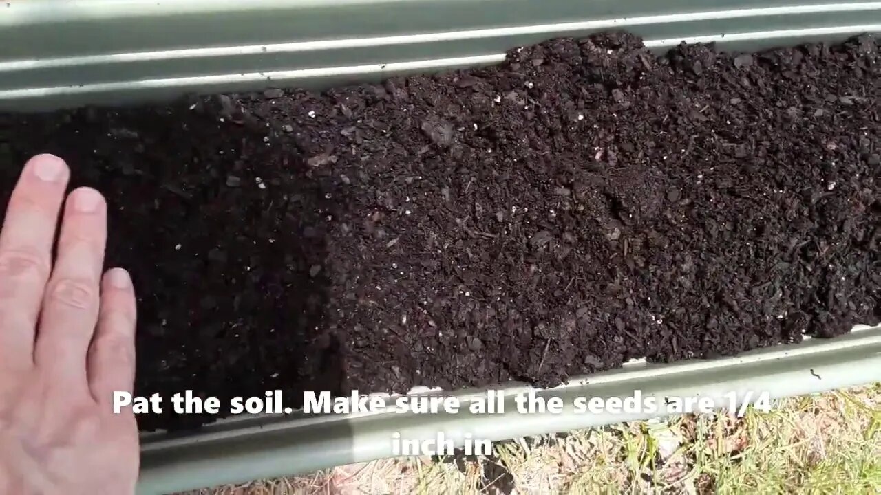 Sowing the vegetable seeds into the container garden =)