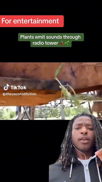 LISTENING TO THE RADIO THRU PLANT ORGANIC TISSUE