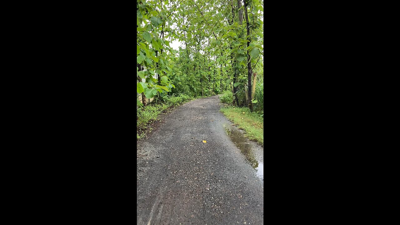 Nature 😍😍
