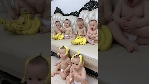 funny babies