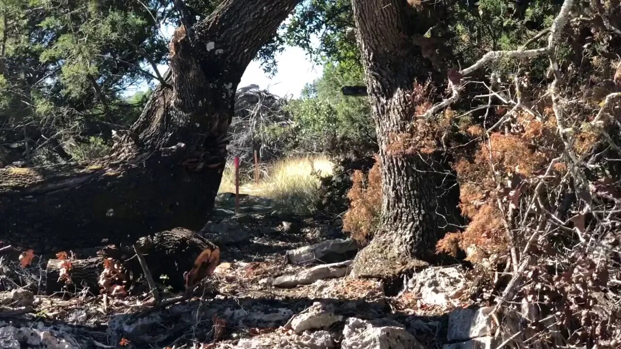 Lot Tour, Vintage Oaks, New Braunfels Tx