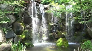 Anderson Japanese Gardens : Rockford IL : SONY FDR-AX43 : 4K