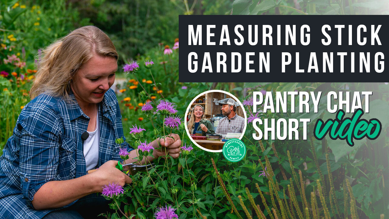 Using a Measuring Stick for Garden Planting | Pantry Chat Podcast SHORT