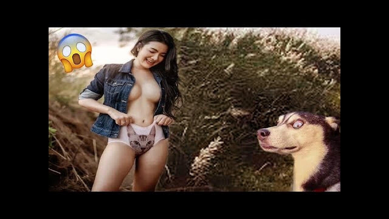 Cute And Funny Animal Videos | Try Not To Laugh