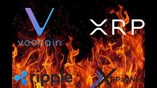 XRP, Coinbase, Ripple, Vechain & XRPayNet!