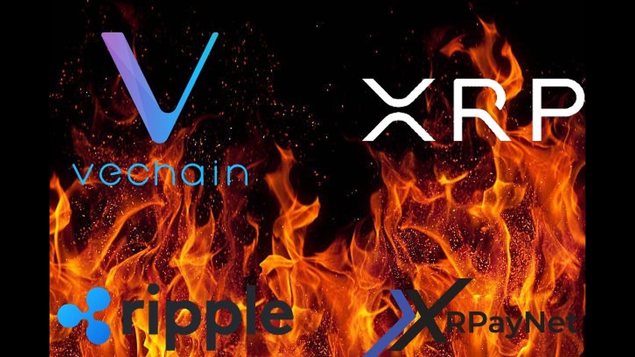 XRP, Coinbase, Ripple, Vechain & XRPayNet!