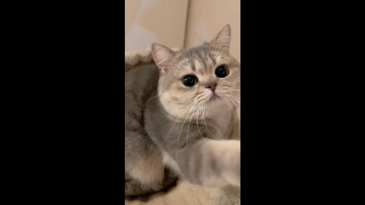 What are you looking at