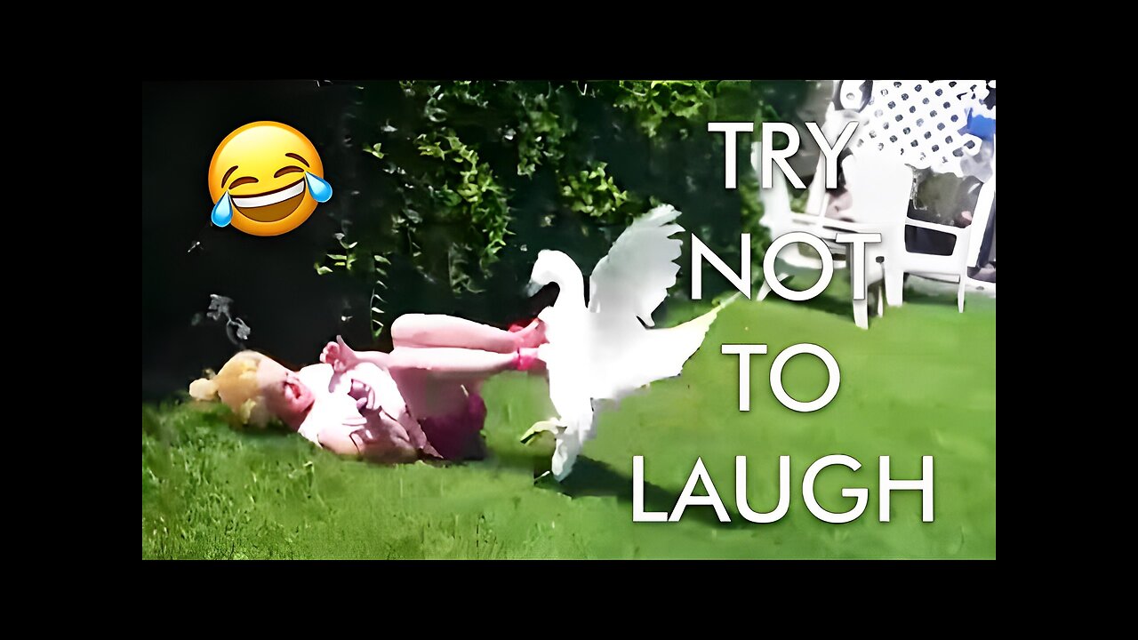 [2 HOUR] Try Not to Laugh Challenge! 😂 | Animal Fails of the Week | Funny Pet Videos | AFV Live