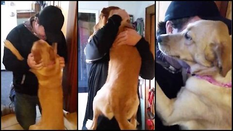 Dog is Crazy Happy to See Owner MOST EMOTIONAL MOMNTS