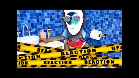 Baby Monkey Bon Bon Go To The Toilet And Eat Snickers With The Puppy REACTION