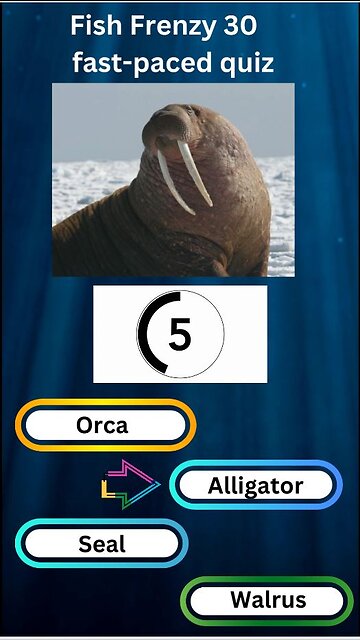 Fish Frenzy 30 A fast-paced quiz