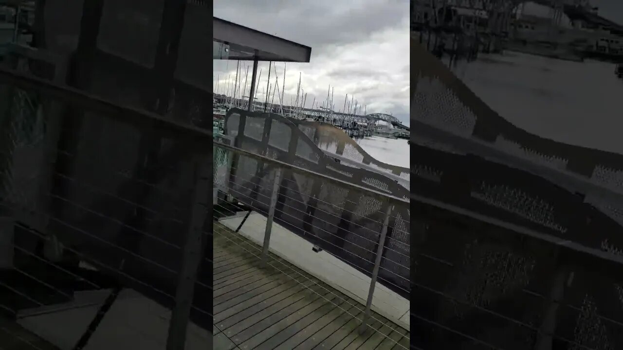 Yachts and harbour bridge