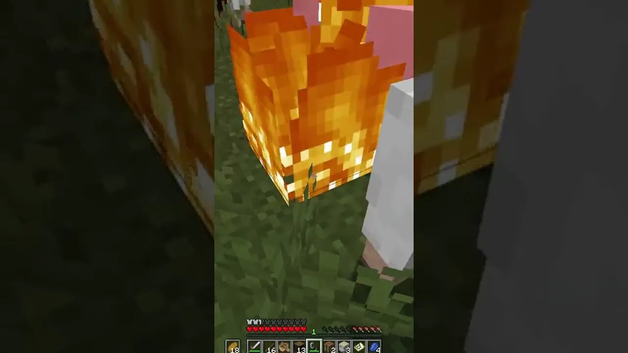 "I wanna burn them alive" | WeSuckAtMinecraft #shorts