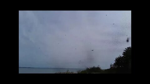 Black Flies Of The U.P.