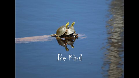 Be Kind