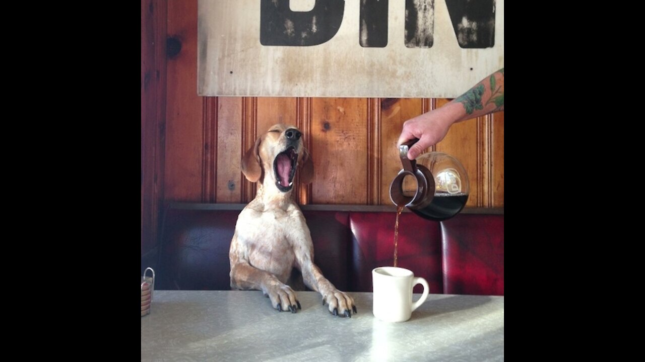 Most Bizarre Coffee Maker