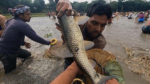 Catching Big Fish In Village Fishing Competition Awesome Fishing Video Best Fishing Video.