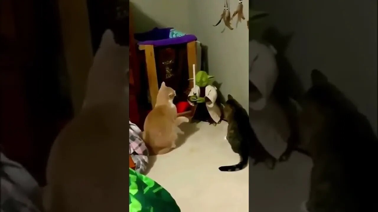 Yoda teaching his disciples