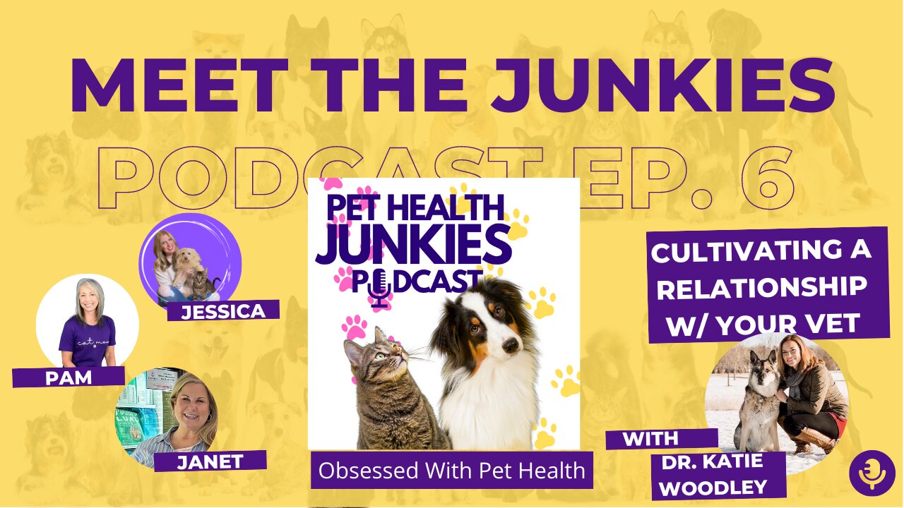 PET HEALTH JUNKIES: Cultivating A Relationship With Your Vet feat Dr Katie Woodley