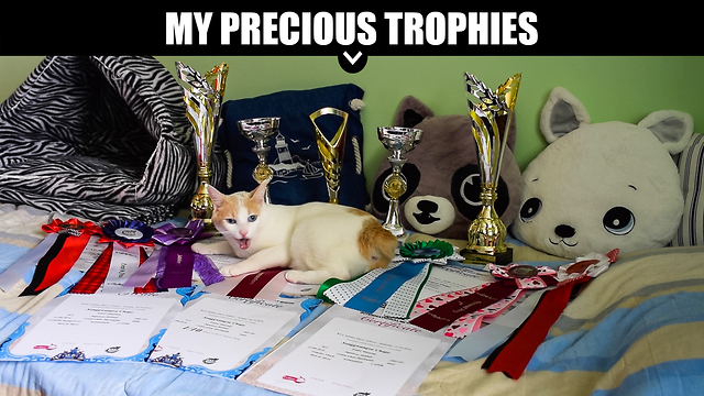 My Precious Trophies