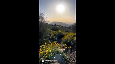 South Mountain Phoenix. Dobbins lookout. #southmountain #lookouts #views #mountains