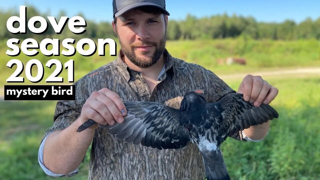 Georgia Dove Season 2021 {Awesome Hunt!} Pigeon vs Dove Taste Test