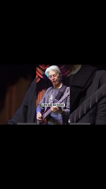 Behind The Band Name: The Grateful Dead #shorts