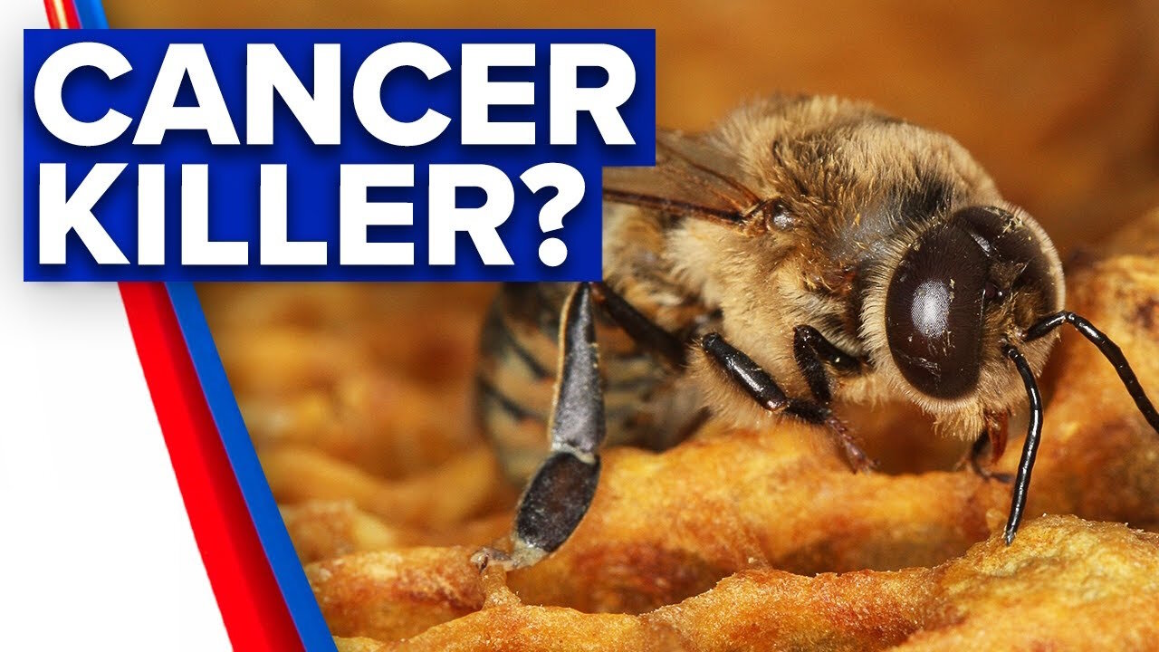 Can Honeybee Venom Be Used To Treat Cancer?