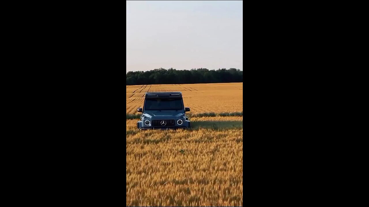 The luxury of freedom