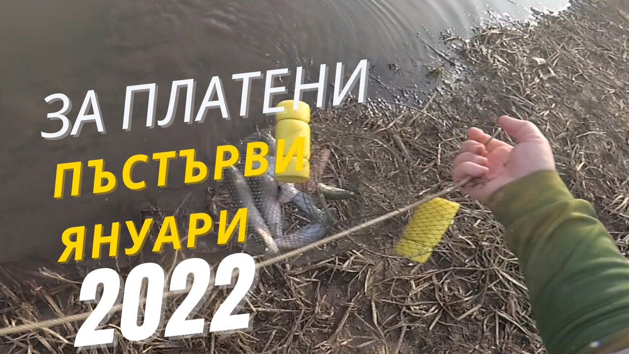 За платени пъстърви Януари 2022 - Out for "pay to fish" trouts Jan2022