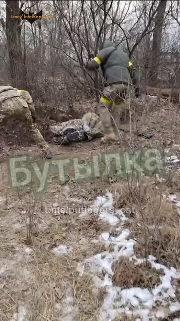 Blue on blue for refusing to fight