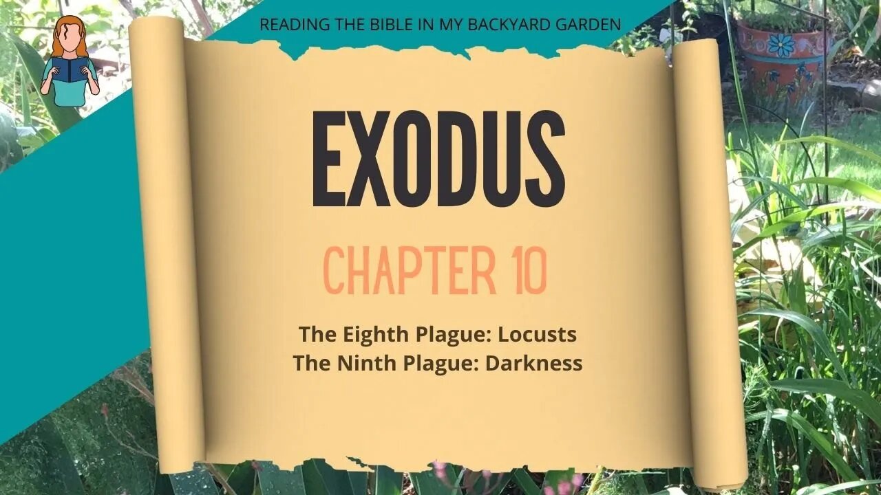 Exodus Chapter 10 | NRSV Bible Reading